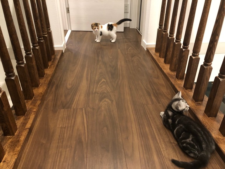 20022A0E-707F-40A8-9689-FA1D256ADB56