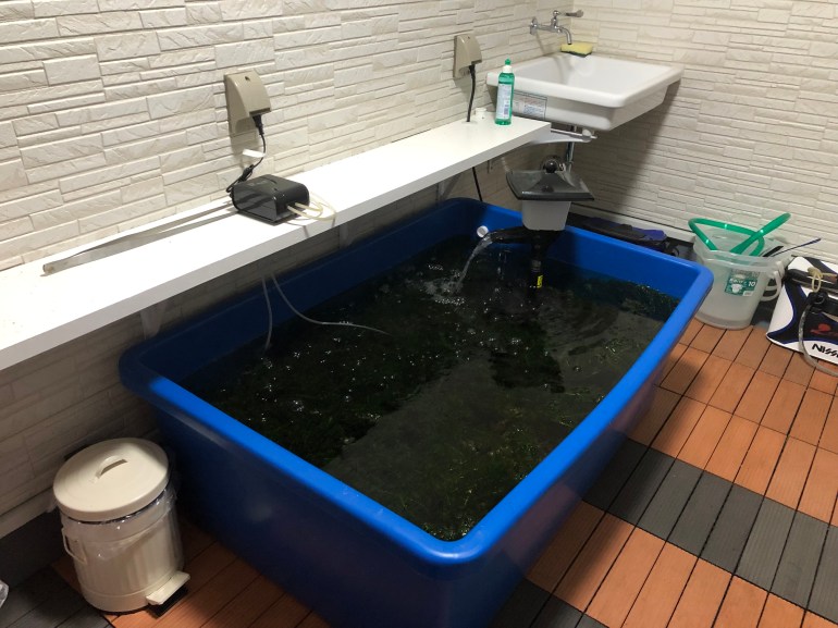 3F0E87FA-8E70-4AE8-86EB-FCFC415E24EB