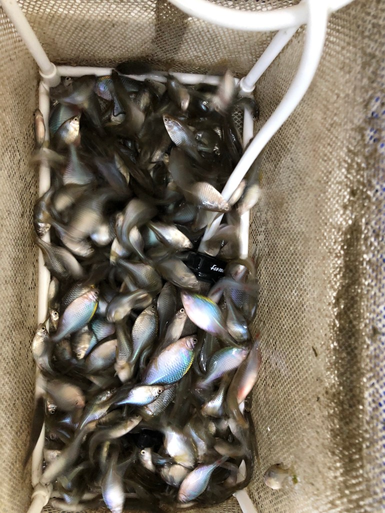 779687EA-5F0D-46A3-8AAC-75FFEE52C9BC