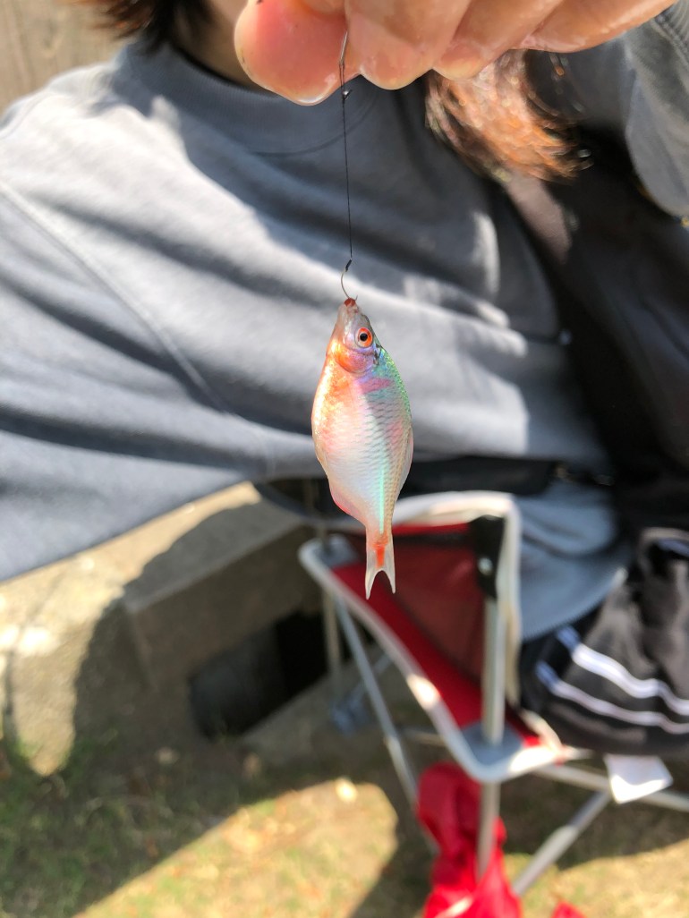 CB7EE31A-08F9-4A58-B1B3-1123F10DDA0C