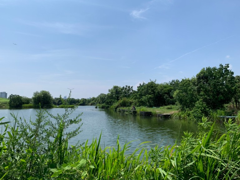 45E64E09-E1D4-4EF7-8CCC-C8C9B481687D