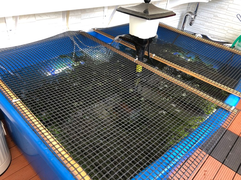 A909D222-1336-4582-BB04-747938F95544