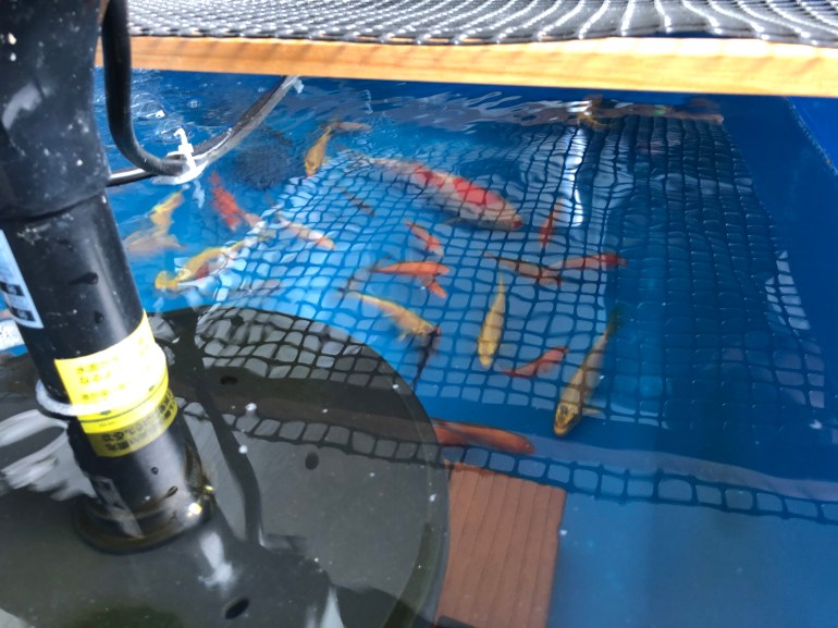 8F0052A0-5356-4921-B1A8-2BB3F4C03FED