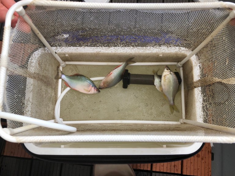 EED6FC44-EE2B-4800-9FB3-97720D29B000