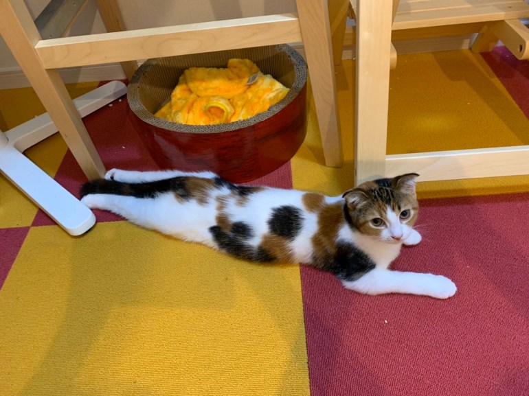 491E04C4-1F4E-4F26-A306-83CFEE6310FC