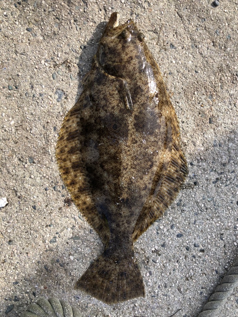 62615EE5-D89C-4E93-82E6-F907EF015122