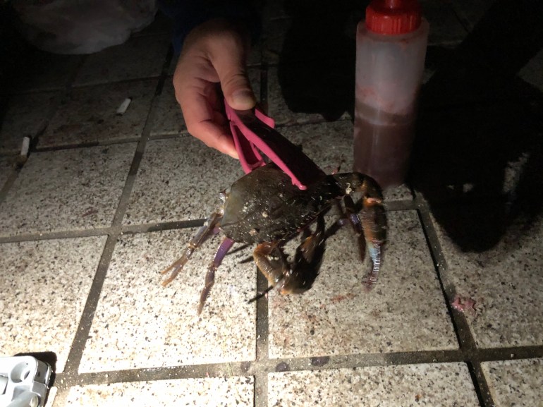 0FF0AAF3-7418-4453-8897-13C949C5A4F1