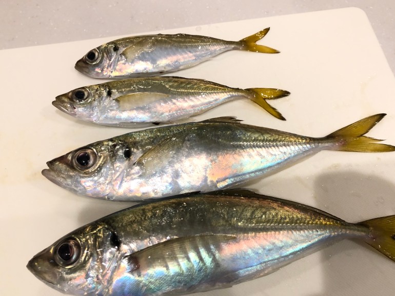 810AA614-4F3A-4BDF-9ADA-EE13A05EED93