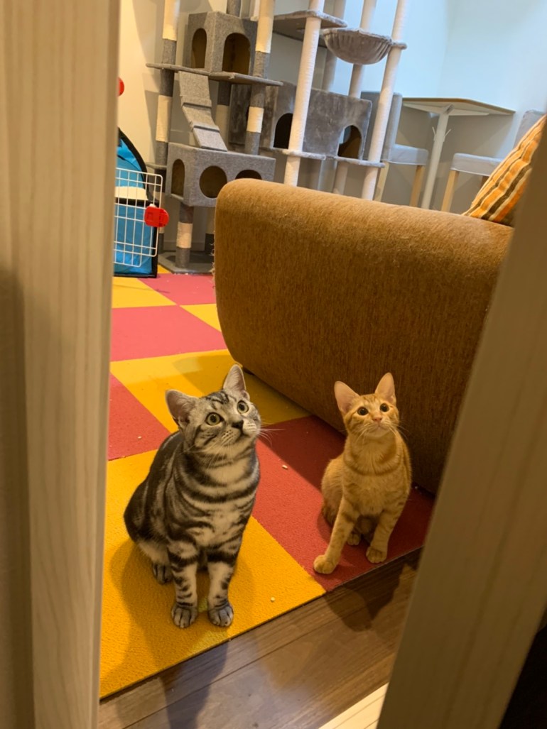 84FB0F77-FC62-4F3F-A59A-C12BE2C4074B