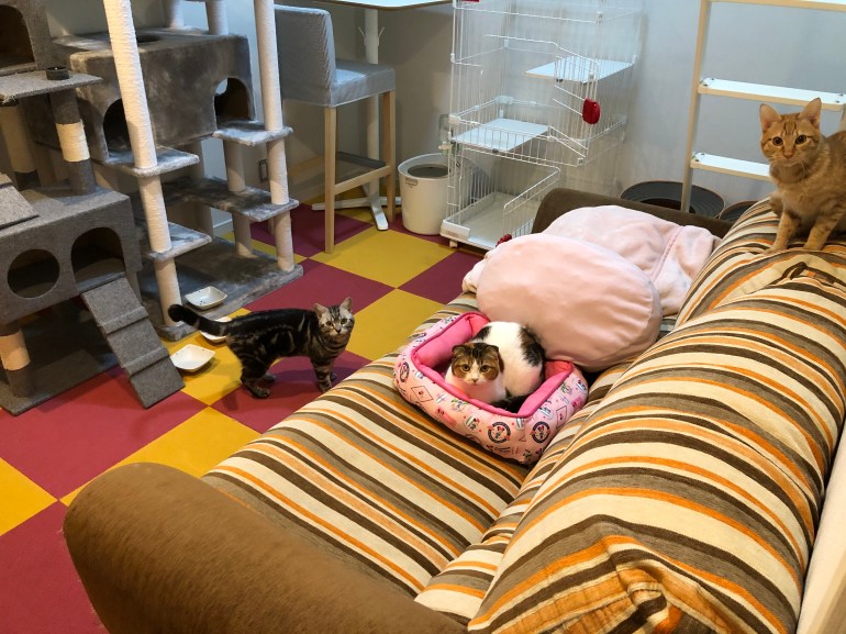 DB1EA1DC-2797-41C8-8A08-41EFF717E7C7