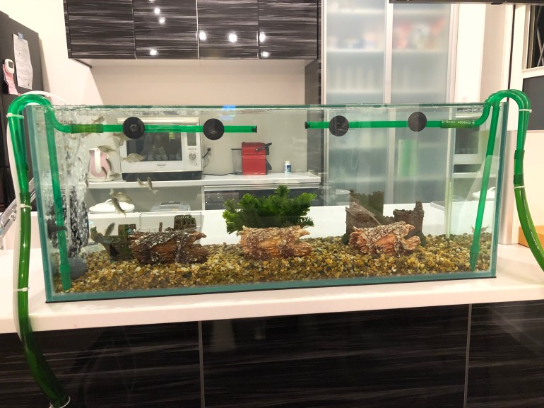 A186B5EF-34AC-49FC-8DCB-48F9B0F52584