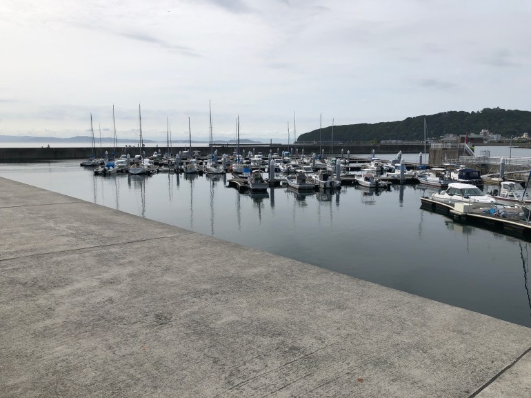 E8FB2A0A-BA5C-48D8-AFA7-82A9EAE3A5B9