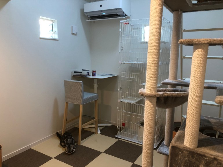 370267C8-8CE9-4185-A7B8-B5E5E2359899