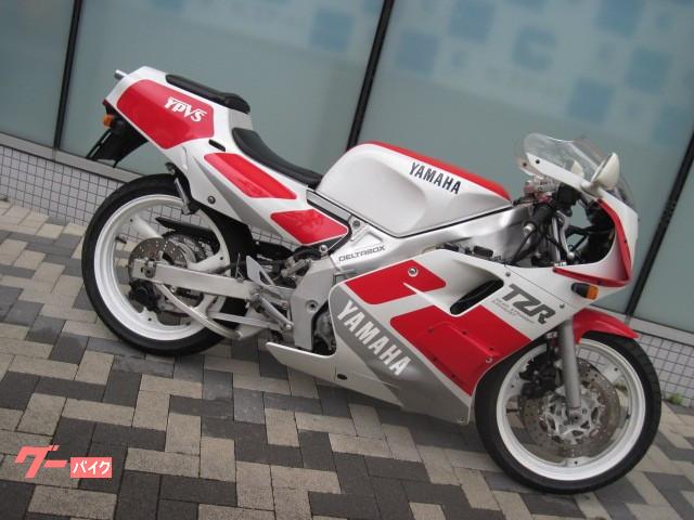 6F0A81D4-E72B-4F1F-8513-29E7556B25F2