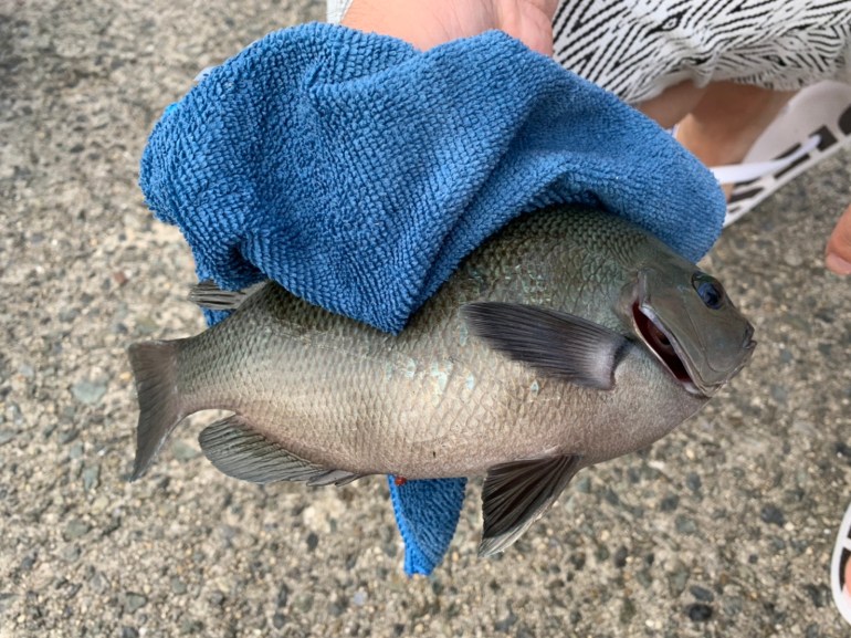 7D4B3C58-3DE3-48C0-8A7F-C80968BF558F