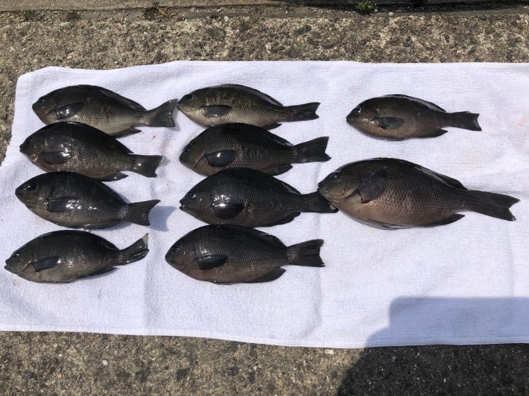 DE3B1728-A4DB-4209-ACF6-8EF8EF17057C