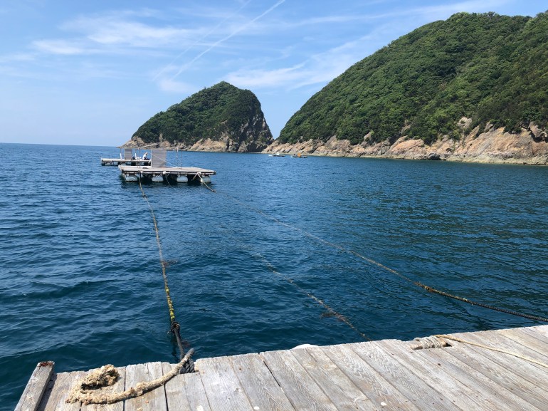 46C3C899-6337-4E9F-92D2-987EFF5D3BC8